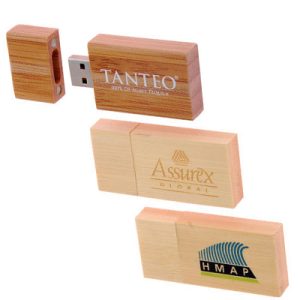 WUSB-07: Cap Typed Wooden USB 03