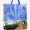 Laminated Non-Woven Bag