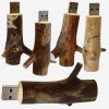 Branch Type Wooden USB