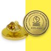 a custom batch of gold epoxy lapel pins for ICRS2024